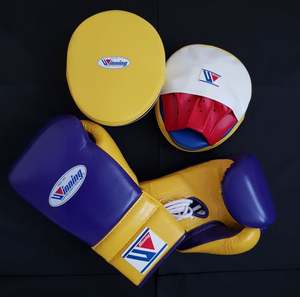 ชุดฝึกซ้อมมวยหนังแท้หลากสีพร้อมโลโก้สั่งทำพิเศษ สำหรับศิลปะการต่อสู้และการฝึกออกกำลังกาย - Product Image 2