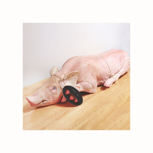 Carne de cerdo congelada de la mejor calidad, origen de carcasa de bebé disponible para suministro, carne de cerdo congelada de grado frontal, carne de cerdo Halal barata - Product Image 4