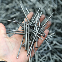 Economical Common Nails in Bulk - Perfect for Roofing & Fencing