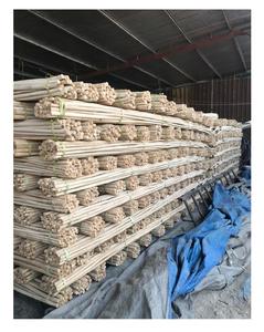 Varilla de Ratán a Precio Económico, Diámetro de 10 mm a 40 mm - OFERTA para 2024 - Caña de Ratán/Varilla de Ratán de Vietnam - Product Image 3