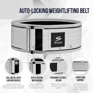Custom Fit Adjustable Secure Locking Eco-Friendly Sports Training Weightlifting Nylon Lever <b>Belt</b> for Professional Beginner Gym - Product Image 2
