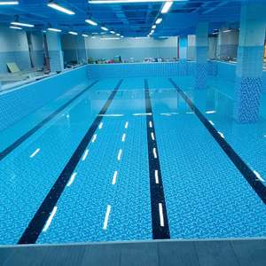 Variedad de colores de mosaico de PVC populares <span class=keywords><strong>para</strong></span> revestimiento de lámina de piscina Membrana montada en la pared Skimmer de superficie de piscina portátil Piscina <span class=keywords><strong>para</strong></span> <span class=keywords><strong>perros</strong></span> pequeños - Product Image 5