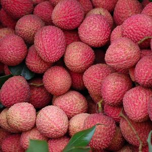 ผลไม้แช่แข็งเวียดนามสำหรับขายปลีก/เดลต้า/คุณภาพสูง - Product Image 2