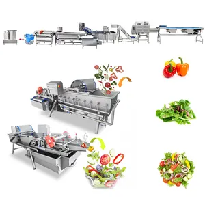 LONKIA Automatic Vegetable Production Line Salad Vegetable Processing Line salad washing machine