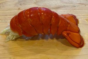 กุ้งมังกรแอฟริกาใต้แช่แข็งขายส่ง ผลิตภัณฑ์อาหารทะเลพรีเมียมสำหรับผู้ซื้อจำนวนมากและการกระจายสินค้าทั่วโลก - Product Image 3