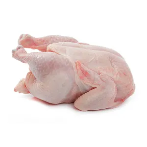 Fornitore Premium Halal intero pollo Halal congelato pollo lavorato carne intera pollo e pollo parti intere