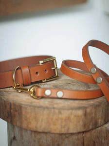 <b>Dog</b> <b>Collar</b> & Leash Set - 30mm Wide - Tan - Product Image 6