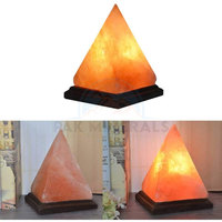 Lampes en sel naturel de l'Himalaya polies de haute qualité avec une couleur foncée pour la décoration de la maison