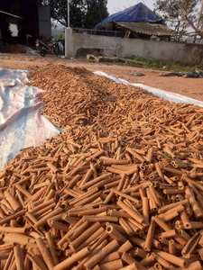 Venta Caliente de Ramas de Canela para Procesamiento de Especias, Cocina y Saborizante de Bebidas, Uso para Pedidos Personalizados al por Mayor, Vietnam - Product Image 5