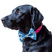 Vente en gros personnalisée Fleurs bleues Chien Noeud papillon Accessoire floral pour animaux de compagnie pour colliers Laisses Harnais
