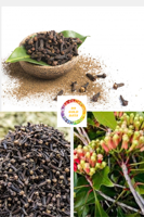 Emballage personnalisé Clous de girofle entiers 100% naturels séchés de 99 Gold Data du Vietnam Goût épicé