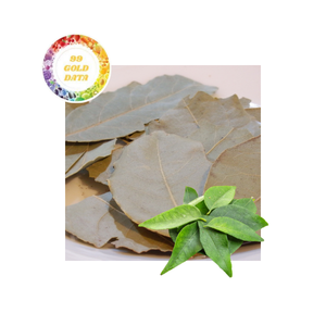 Hojas de Curry Secas de Alta Pureza, Compra al por Mayor, Salida de Fábrica, Mejores Precios al por Mayor Garantizados desde Vietnam - Product Image 1