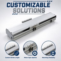 Module de glissière linéaire à vis à billes BSC14, actionneur linéaire électrique avec moteur pas à pas NEMA, rail compact haute rigidité pour machine CNC