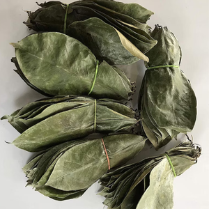 Hojas secas de Guanábana no tóxicas/naturales/secas - Product Image 3