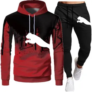 Ventes en gros de survêtements personnalisés en molleton à deux pièces, sweat-shirt et pantalon de jogging pour hommes, couleur et taille personnalisées, polyester/coton - Product Image 6