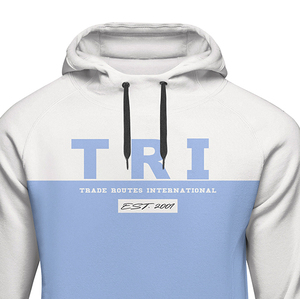 Pulls à capuche de haute qualité fabriqués en usine avec logo personnalisé brodé Technics Teint uni pour l'hiver disponible à bas prix - Product Image 3