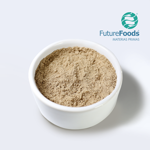 Extracto Herbal Silvestre, Polvo de Cáscara de Psyllium, Hecho en India - Product Image 1