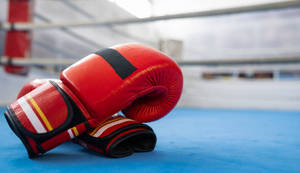 RX Sports Custom Unisex Sparring Punch Guantes Cierre de gancho y bucle de cuero para Sanda MMA Muay Thai Kick Boxing Training - Product Image 5