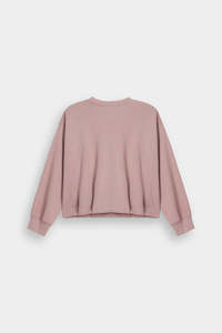 Sudadera Holgada de Color Rosa Pálido para Mujer, Invierno, Ligera, Oversize, Ecológica, de Felpa de Algodón, con Logotipo Personalizado - Product Image 2