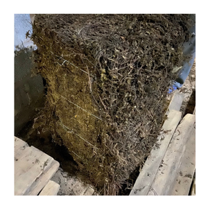 Hojas de gelatina de hierba seca a precio de fábrica de Vietnam para gelatina y bebidas por 99 Gold Data Exporter - Product Image 3