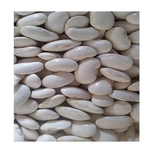 Frijoles blancos superventas altamente nutritivos listos para la exportación/100% Frijoles blancos orgánicos Top - Product Image 5