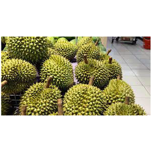 ผลไม้ทุเรียนสดและพืชใหม่ผลิตภัณฑ์ทุเรียนแช่แข็งจากเวียดนาม - Product Image 2