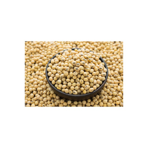 Vente en gros d'exportateurs de soja/soja OGM et non OGM - Product Image 3