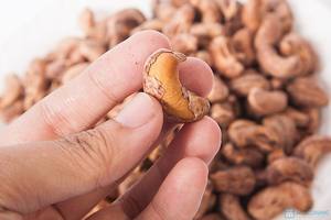 Nueces de Anacardo Orgánicas Tostadas de Alta Calidad, Granos Secos con Cáscara, Empaquetadas Directamente en Cartón con Vacío, Grado PE A320 - Product Image 5