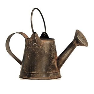 Petit arrosoir d'intérieur en acier inoxydable pour le jardin, style traditionnel, en métal, en fer massif, arrosoir d'occasion pour la maison - Product Image 4