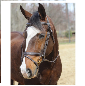 Brida de caballo ecuestre occidental de alta calidad Material de PVC impermeable de cuero Real logotipo personalizado precio al por mayor - Product Image 4