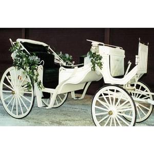 Elegante Carruaje Moderno Portátil de Caballos Blancos para Eventos de Boda, Carruaje Australiano de Caballos - Product Image 1