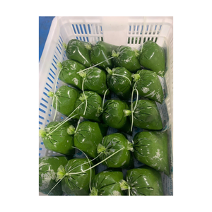 Feuilles de manioc congelées/ Feuilles de manioc/ Feuilles de tapioca congelées classiques IQF congelées en vrac OEM 100% fraîches pour les applications alimentaires - Product Image 1