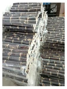 Bâtons de canne à sucre congelés de haute qualité pour le jus de canne à sucre avec le prix bon marché de 99GD Viet Nam pour l'exportation - Product Image 4