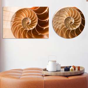 Impression sur toile spirale coquille de nautilus à rapport d'or - Art naturel élégant, art sur verre trempé - Product Image 1