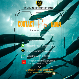 Farine de poisson riche en protéines fabriquée au Vietnam - Product Image 6