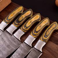 Set Pisau Dapur 5 Buah Baja Damaskus Tempa Tangan dengan Gagang Kayu dan Sarung Kulit OEM