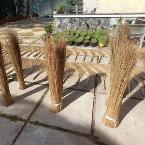 Bâtonnets de balai de noix de coco Nipah pour les importateurs en gros manche à balai en feuille de palmier de coco au Vietnam - Product Image 4