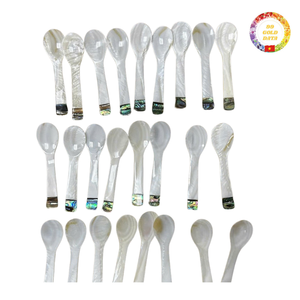 Belle cuillère en nacre noire naturelle pour les hôtels de luxe, les restaurants et la restauration. - Product Image 2