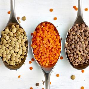 Lentilles rouges biologiques Lentilles vertes séchées Lentilles noires Chana Dal et en vrac de qualité alimentaire emballées dans des sacs - Product Image 1