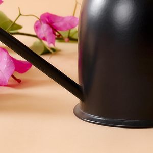 Arrosoir décoratif en métal, pot vintage en acier galvanisé, long bec, construction résistante à la rouille, plantes de jardin d'extérieur - Product Image 6