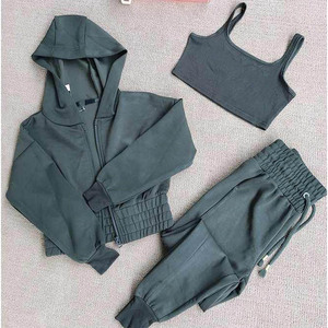 Women's Custom Plus Size 3-Piece High Quality Windproof <b>Jogger</b> Set Winter Sweatpants and Hoodie with Jogging Pants - Product Image 5