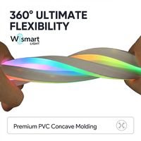 Bande lumineuse LED néon RGBIC WS2812B 5V USB, tube PVC étanche IP65, contrôle via application Tuya WiFi pour la décoration de salle de jeu