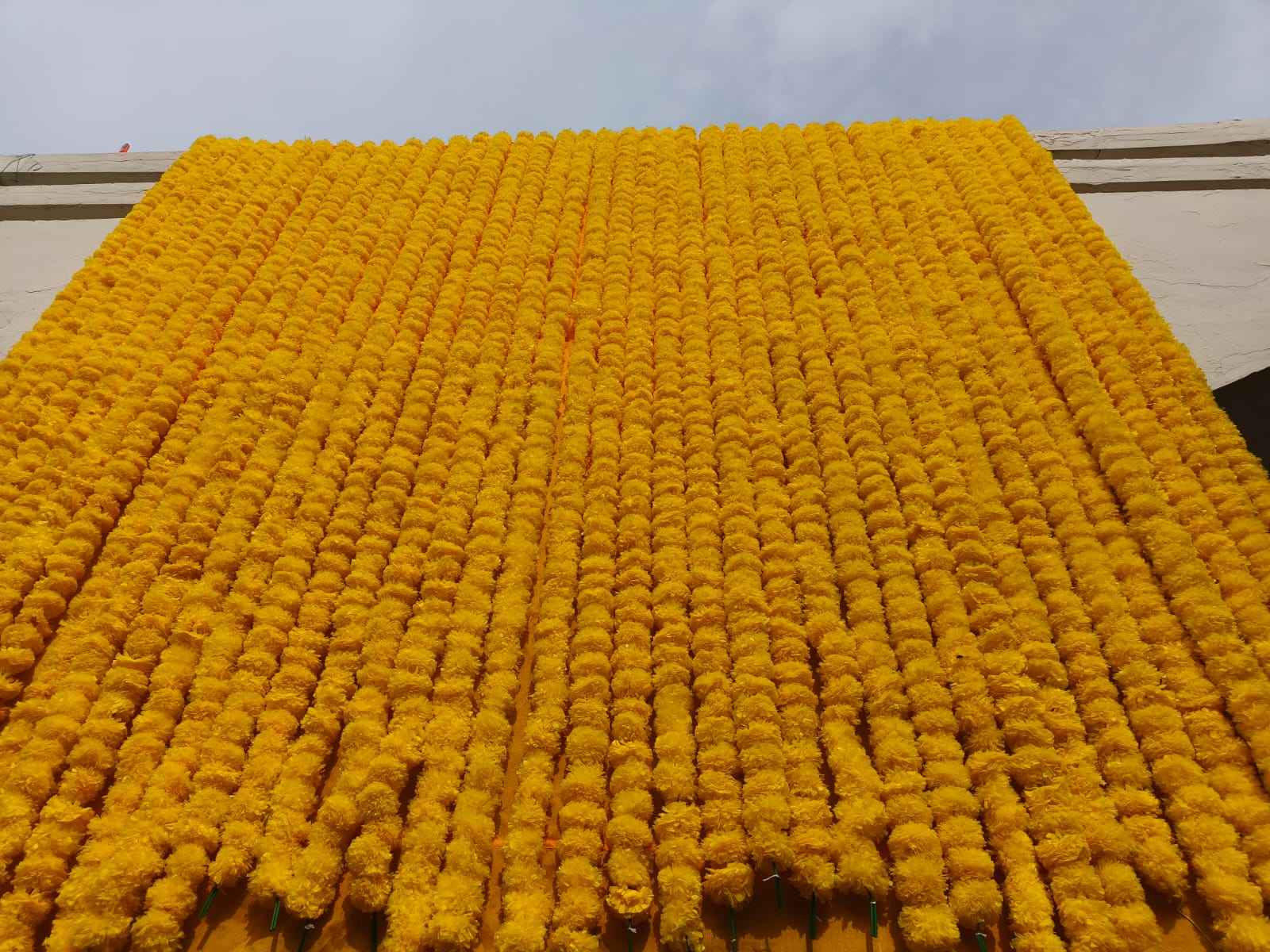 สีเหลือง