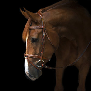 Brida de cuero de caballo de nuevo diseño brida de filete lista para montar - Product Image 4