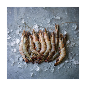 Crevettes tigrées noires de qualité supérieure, vente en gros au prix d'usine - Product Image 4