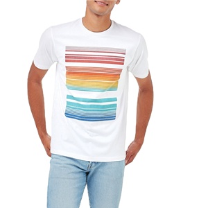 Camiseta de Hombre al por Mayor, Corte Regular, 100% Algodón, Transpirable, Ecológica, Anti-Pilling, 180gsm, Impresión Serigráfica - Product Image 4