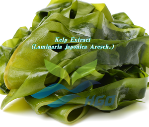 โรงงาน HGO จัดจำหน่ายสารสกัดจากสาหร่ายเคลป์บริสุทธิ์จากธรรมชาติ (Laminaria japonica Aresch.) โดยตรง ฟูโคแซนธินเกรดอาหาร 5%-85% แบบมาตรฐาน - Product Image 2
