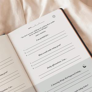 LABON the Gratitude Journal Graba un día para afirmación y reflexión Positividad Felicidad Sin fecha Guía de tapa dura Diario - Product Image 4