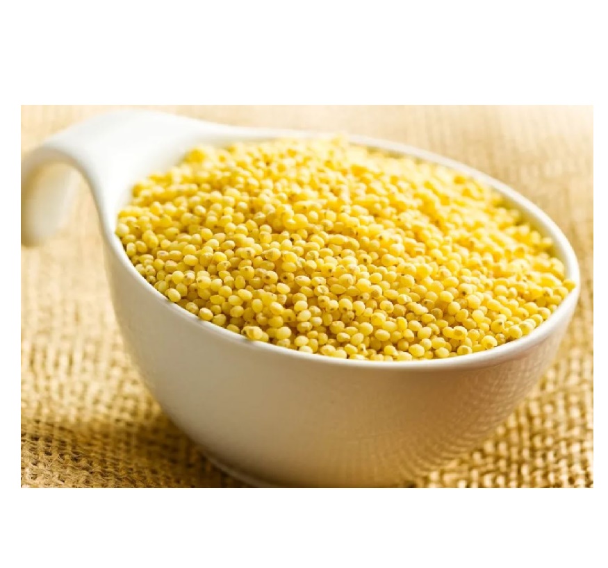 Fresh Yellow Millet for Bulk Purchase Available for Wholesale Buyers and Retailers Nationwide Today