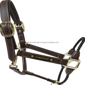 Licou en cuir anglais marron sur mesure avec rembourrage confortable et coutures durables en cuir véritable - Product Image 4